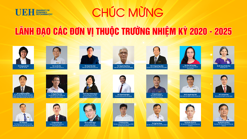 cá cược thể thao hul city